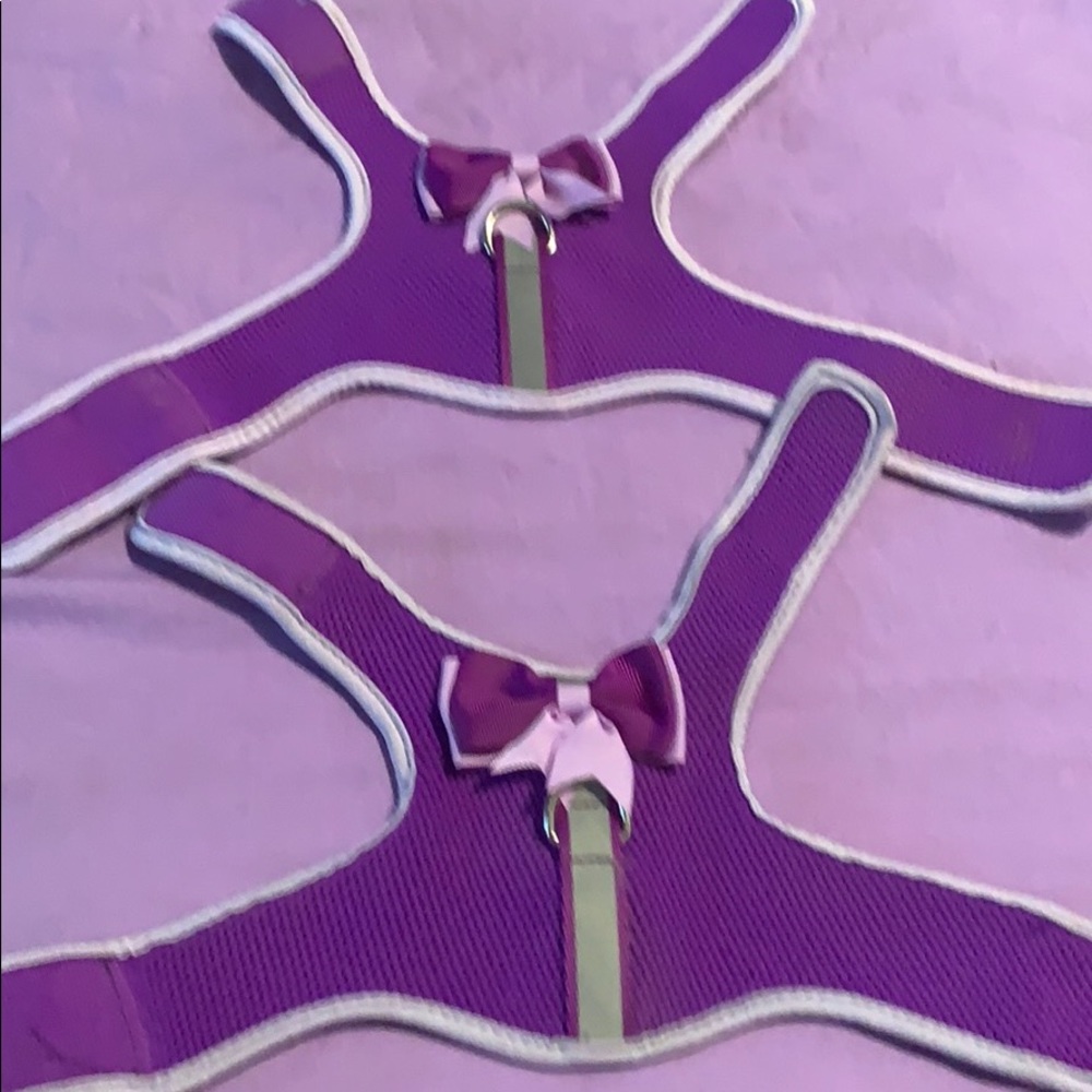 Dog harnesses